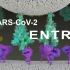 【3D动画】SARS-CoV-2 Entry / 新冠肺炎病毒入侵