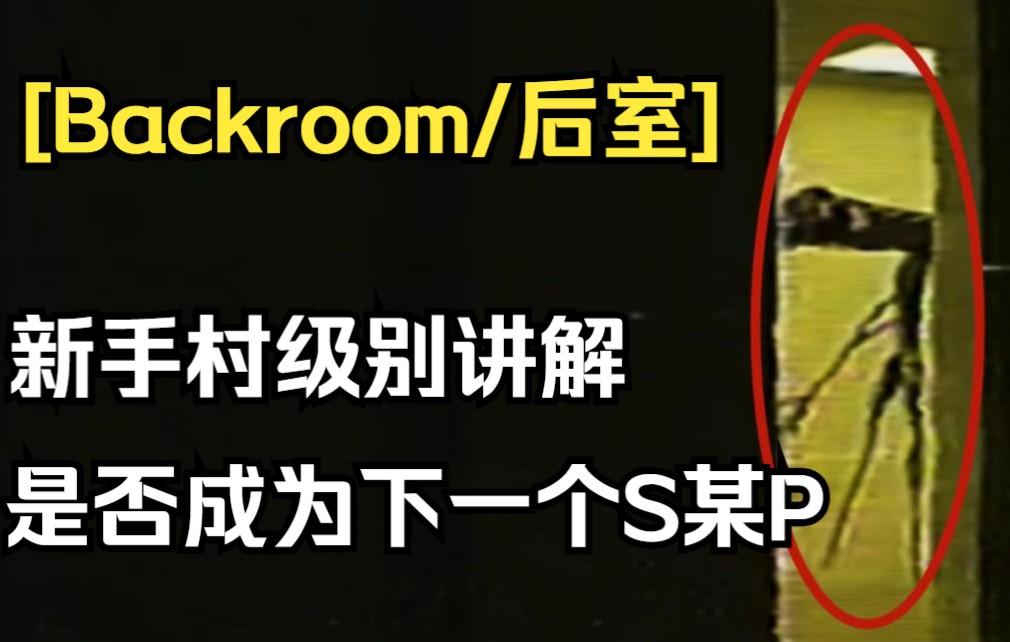 【backroom 后室】新手村级别讲解，是否成为下一个s某p？ 嘿 是狮子 嘿 是狮子 哔哩哔哩视频