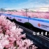 全球首发重载铁路“动力之王”——全球最大功率电力机车下线（中国中车）