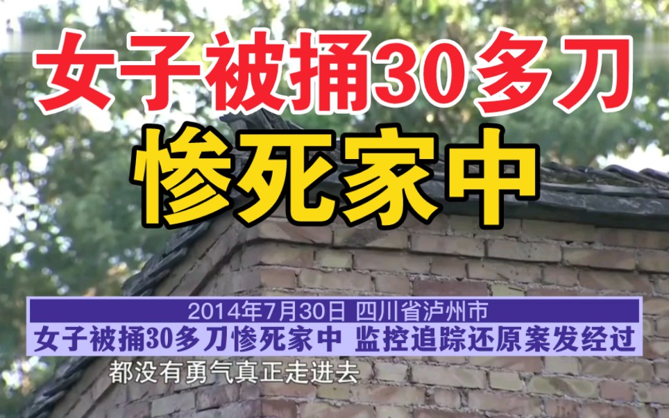 四川省泸州市【女子被捅30多刀惨死家中】（全集） 刑侦纪实 刑侦纪实 哔哩哔哩视频 6207