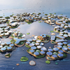 BIG打造世界首座漂浮城市：OCEANIX