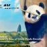 【4K | 杜比视界】成都大熊猫繁育研究基地新园区｜更大、更美、更好玩