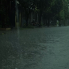 【真实雨声】30分钟 |  城市里的暴雨