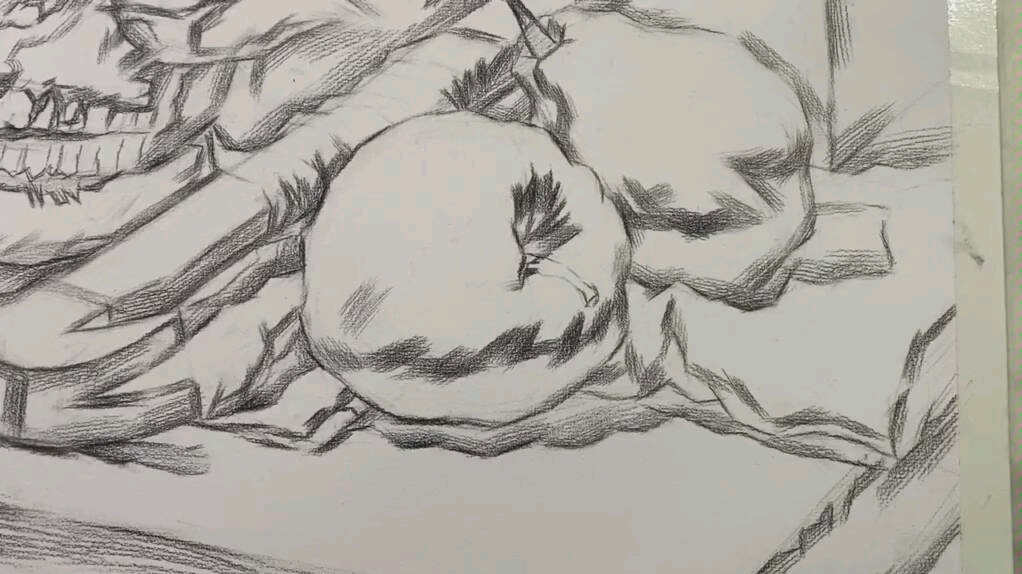 素描静物水果组合排线刻画拉出大的明暗关系
