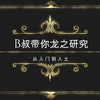【B叔】B叔带你龙之研究——从入门到入土