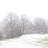 【素材共享】可商用视频剪辑素材集锦：雪花 下雪 雪景