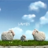 「创意动画短片」小绵羊合集/lambs/Oh sheep/清新治愈 超级解压