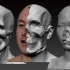 【zbrush】写实头像【男】由外到内的骨骼变化演示