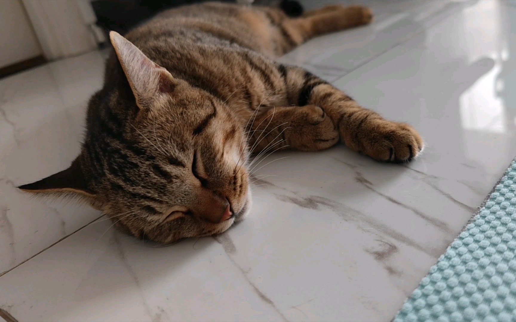 陪麻麻运动的宝贝们