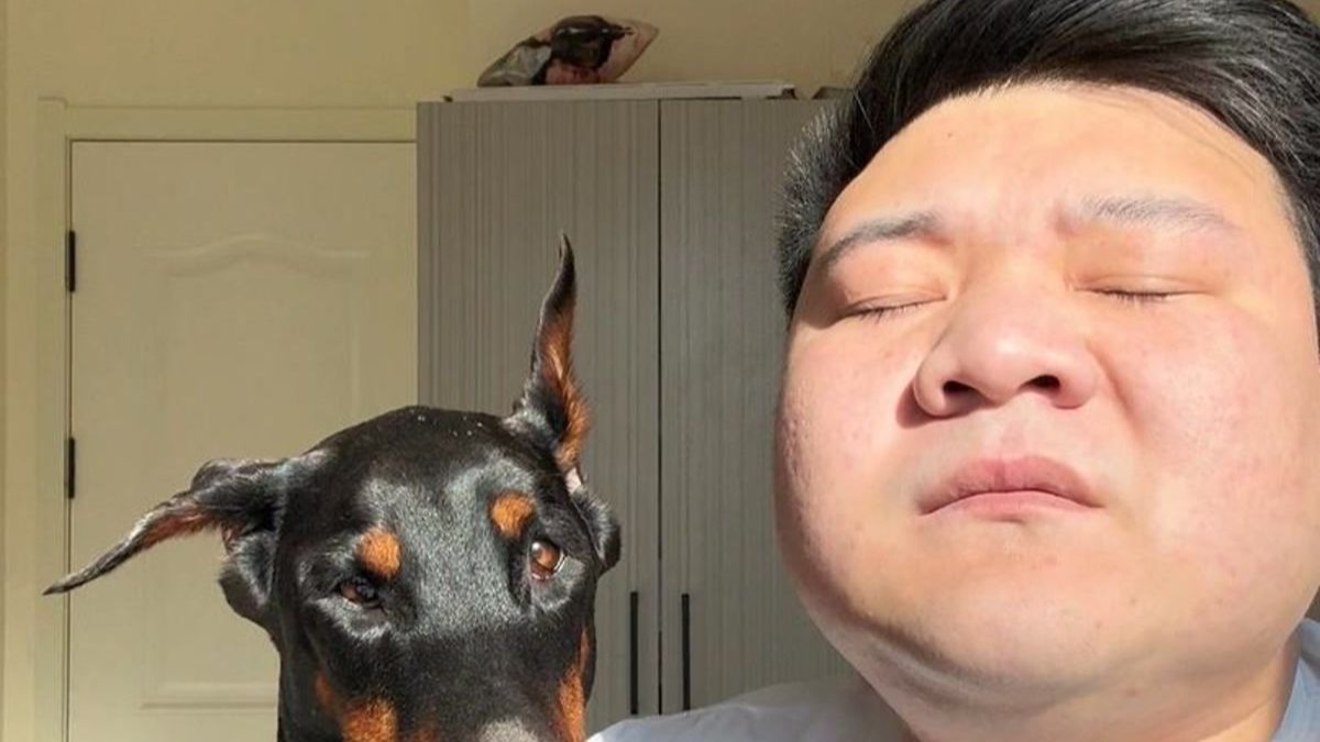深深的无力感。。