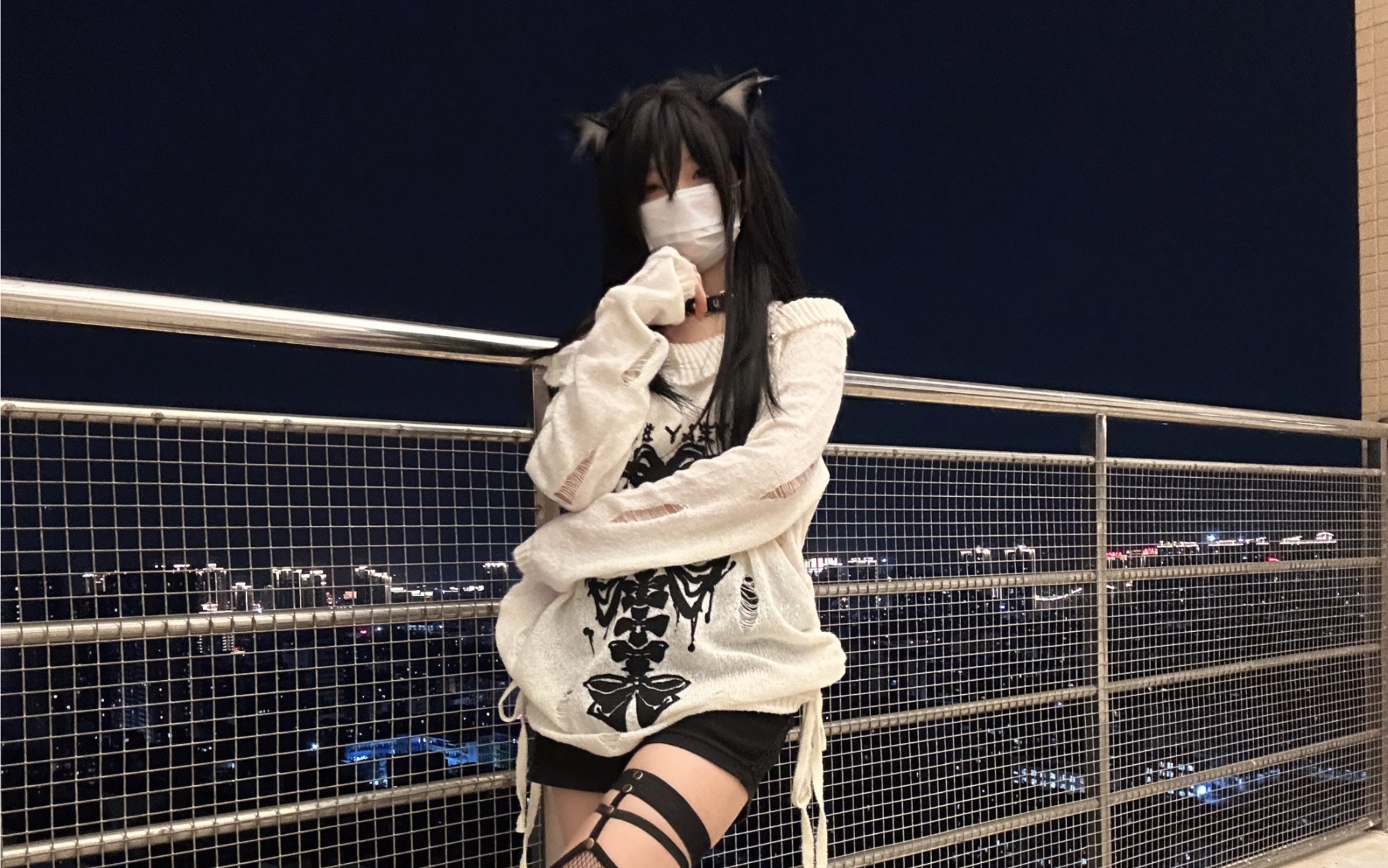 Rooftop Meow