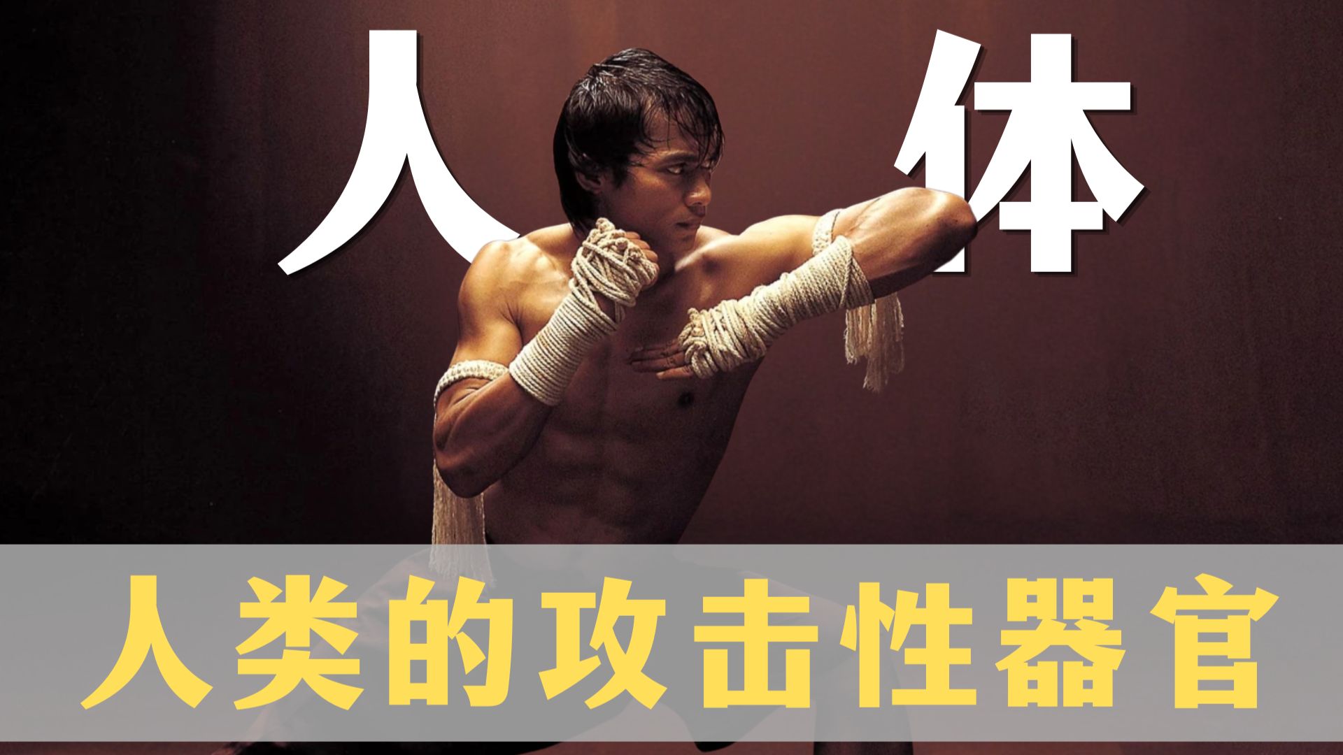 人身上有哪些攻击力惊人的部位？