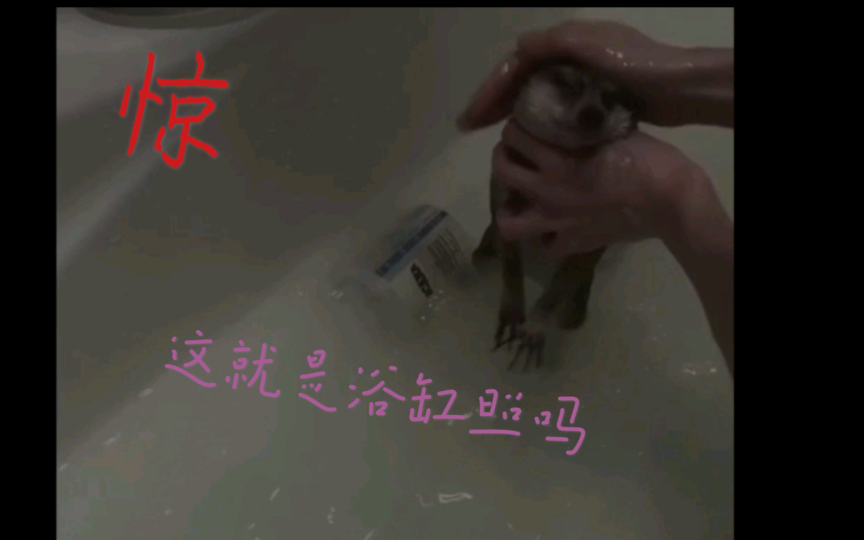 想法？对于：刘畅木法沙洗澡视频意外流出！[1次更新]的第1张示图