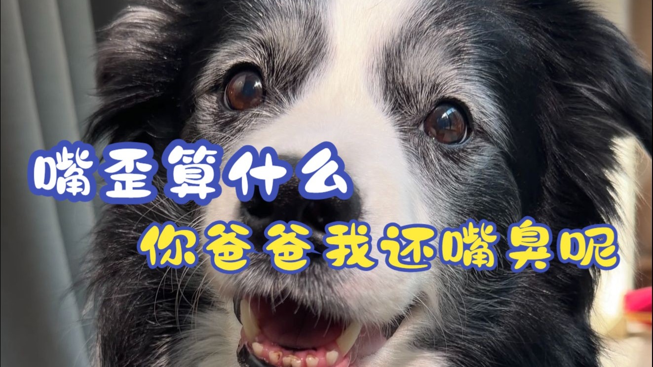嘴歪算什么，爸爸我还嘴臭呢