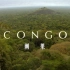 纪录片《刚果》这里是非洲的中心，也是500万平方公里茂密热带雨林的中心。乍看上去，它似乎十分荒芜，一片死寂，并不是个宜居
