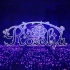 【Roselia丨Black Shout】live混剪-梦开始的地方-字幕待换源