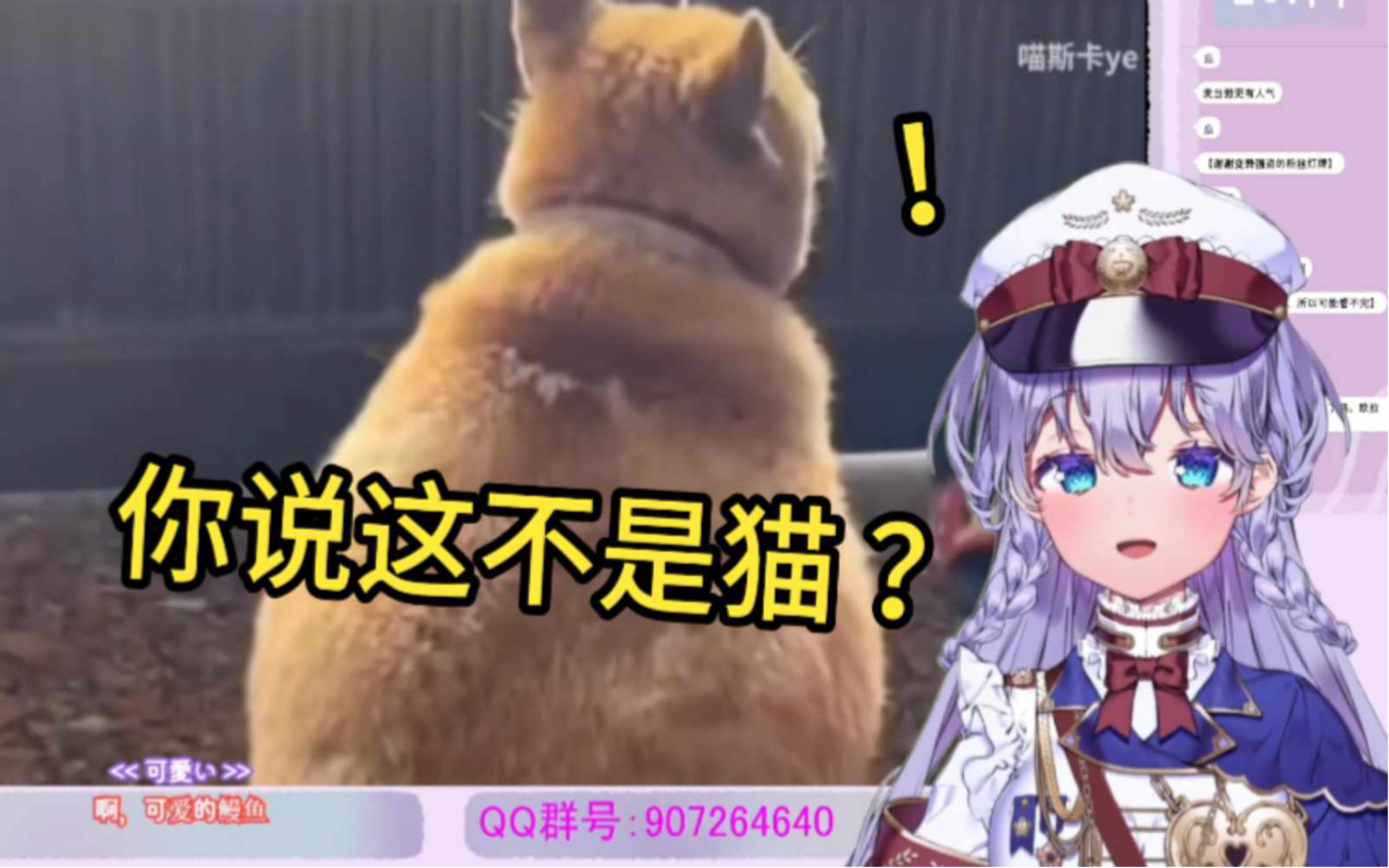 日本vtuber看≪看猫不是猫，看狗不是狗≫