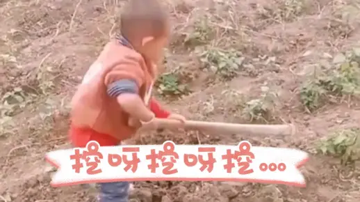 满脑子都是挖呀挖呀挖…