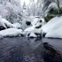 白雪皑皑的风景。 冬季森林中溪流的背景声音。