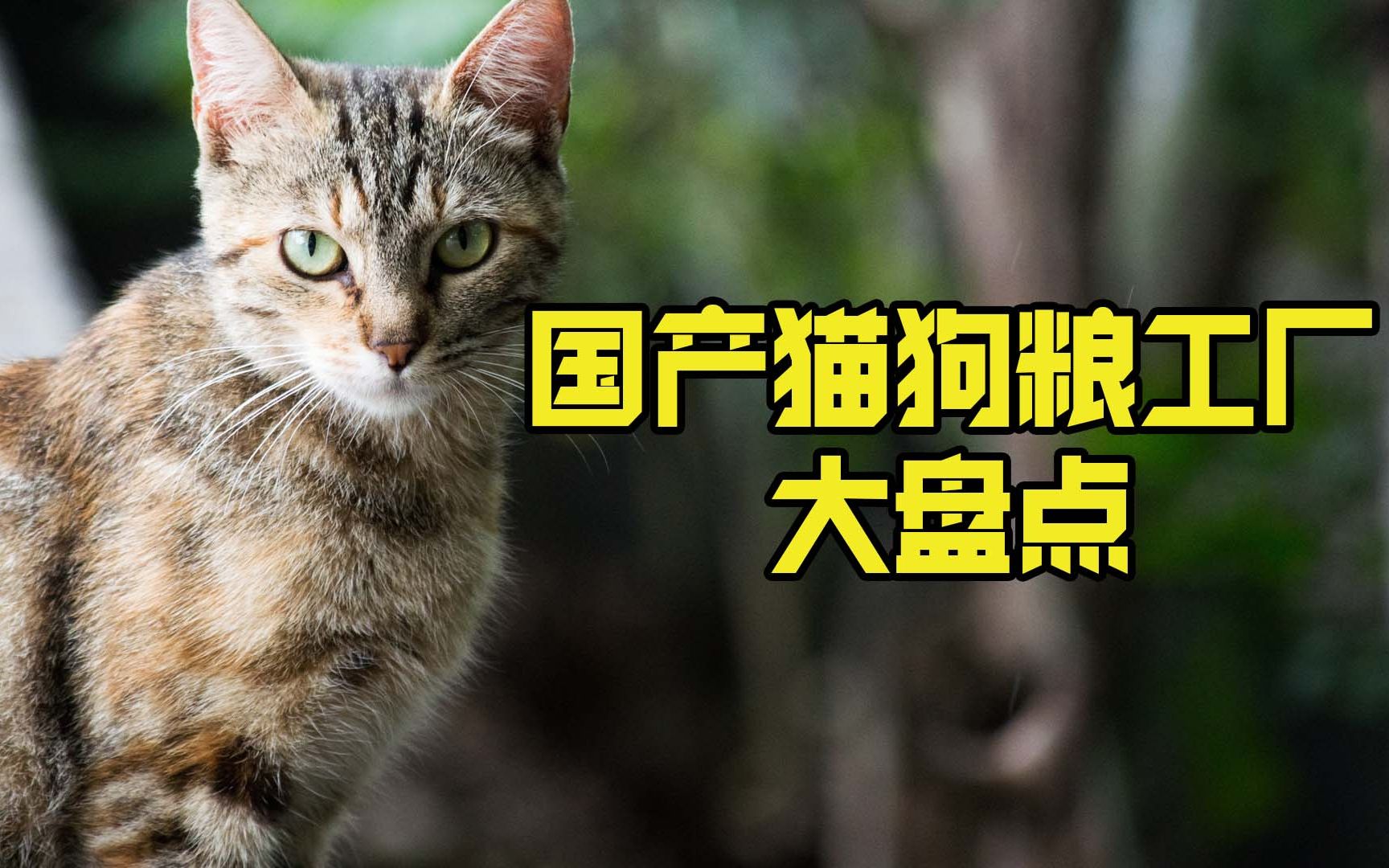 国产猫狗粮工厂大盘点，这些猫粮狗粮都是同一家工厂生产的