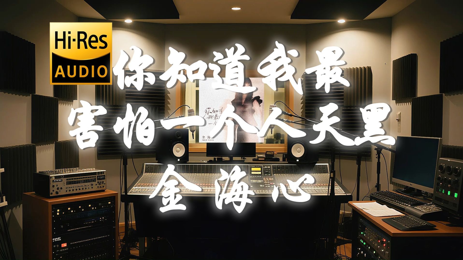 【𝐇𝐢-𝐑𝐞𝐬·无损】金海心《你知道我最害怕一个人天黑》歌词纯享版 - “你舍得让我眼里留着你的泪 你舍得让我的心支离又破碎”--光头老张 ...