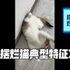 不让我摸，还拼命反抗，我看你是不想吃小鱼干了