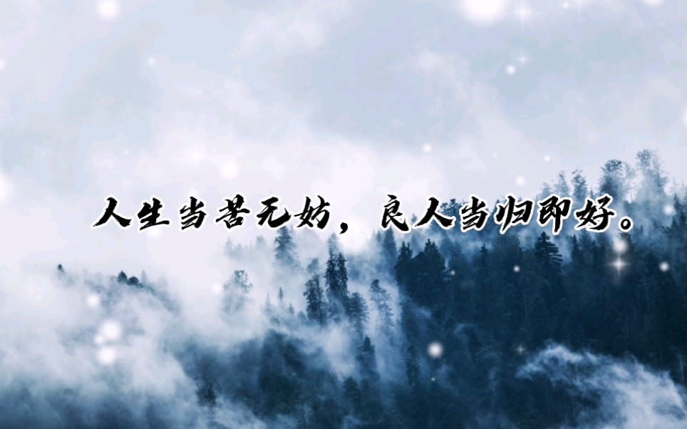 【雪中悍刀行】人生当苦无妨,良人当归即好