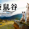 袋鼠谷 中英双语字幕 Kangaroo Valley