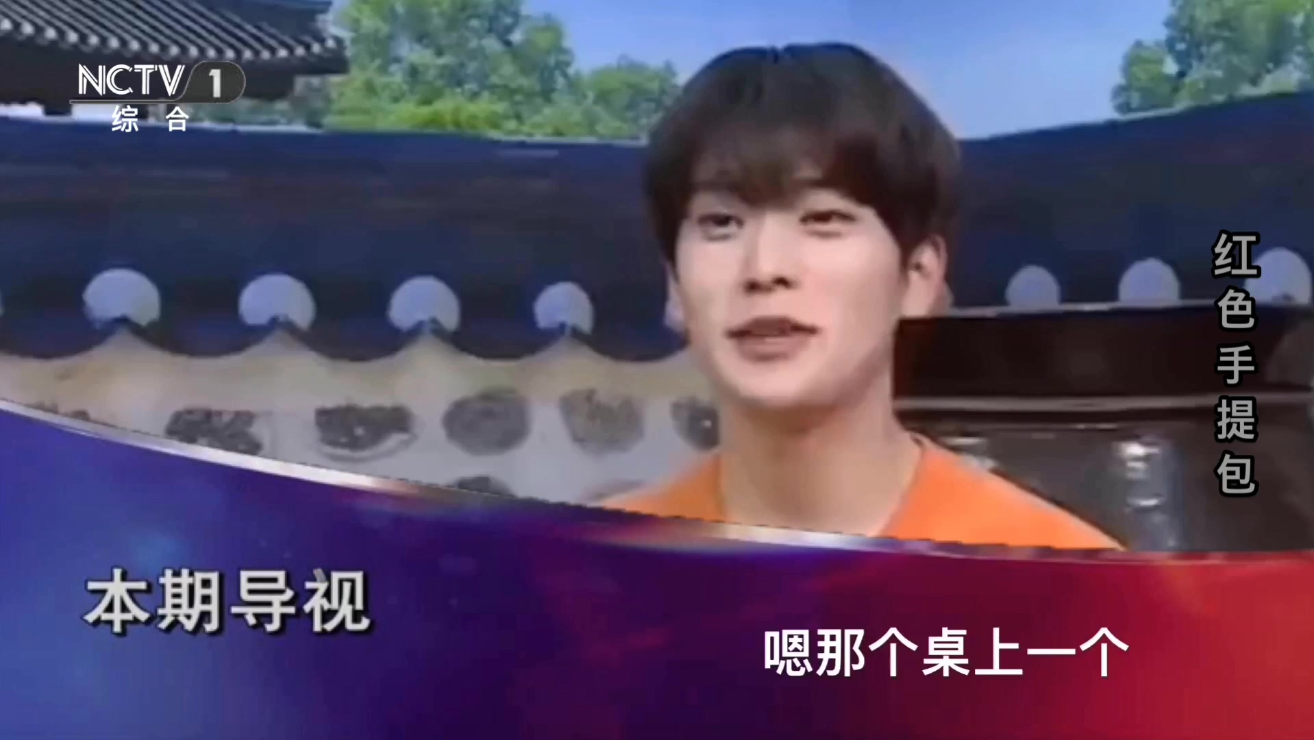 【NCT】红色手提包破案