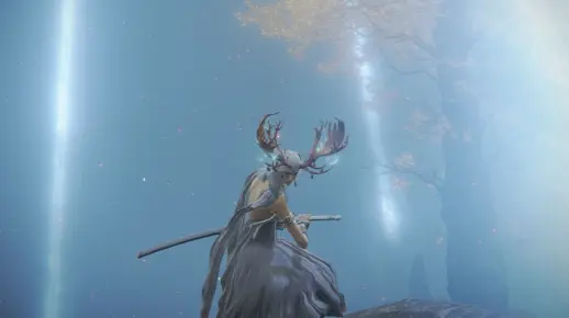 战斗法师的战斗记录-“黑刀”狄希