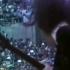 AC/DC—1979-7-Full concert and 1977-10