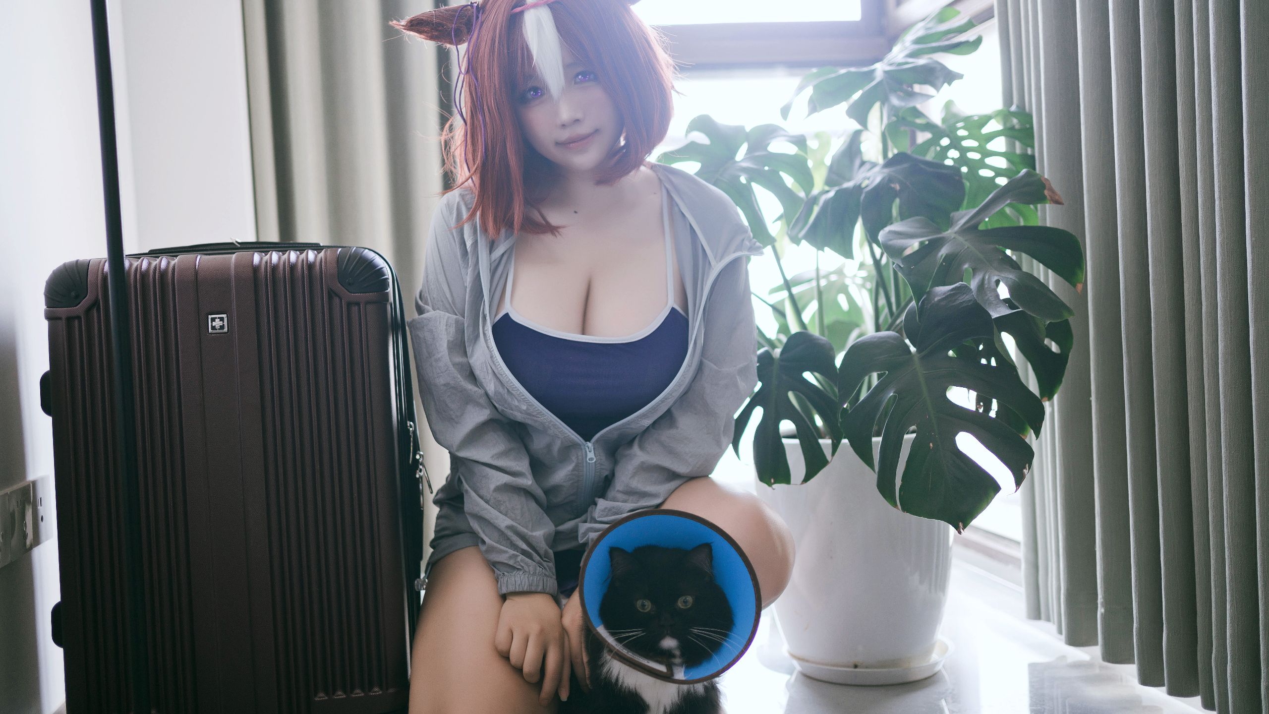 My suitcase got peed on by a cat ！！！！！！！！！！