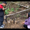 小朋友训练小狗去山里上厕所