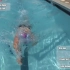 世界顶尖选手自由泳技术动作示范