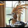 “这可不是商量