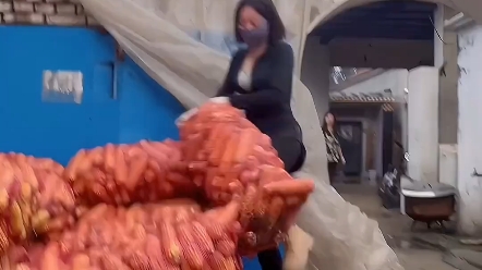 I can't lift it. I can't lift it at all.