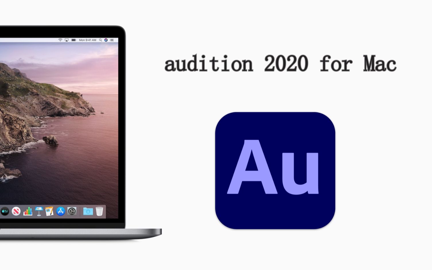 Adobe Audition 2020 v13.0.9