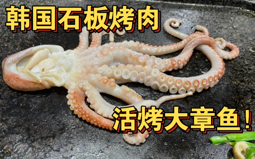 韩国石板烤肉整只大章鱼直接活烤，一烤直抽抽