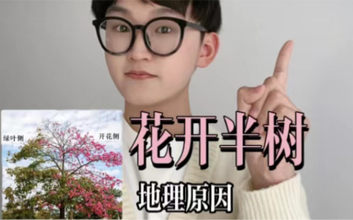 为什么花开了半树？打破一下浪漫幻想，地理原因啦！1-BV1Y84y1h7tH