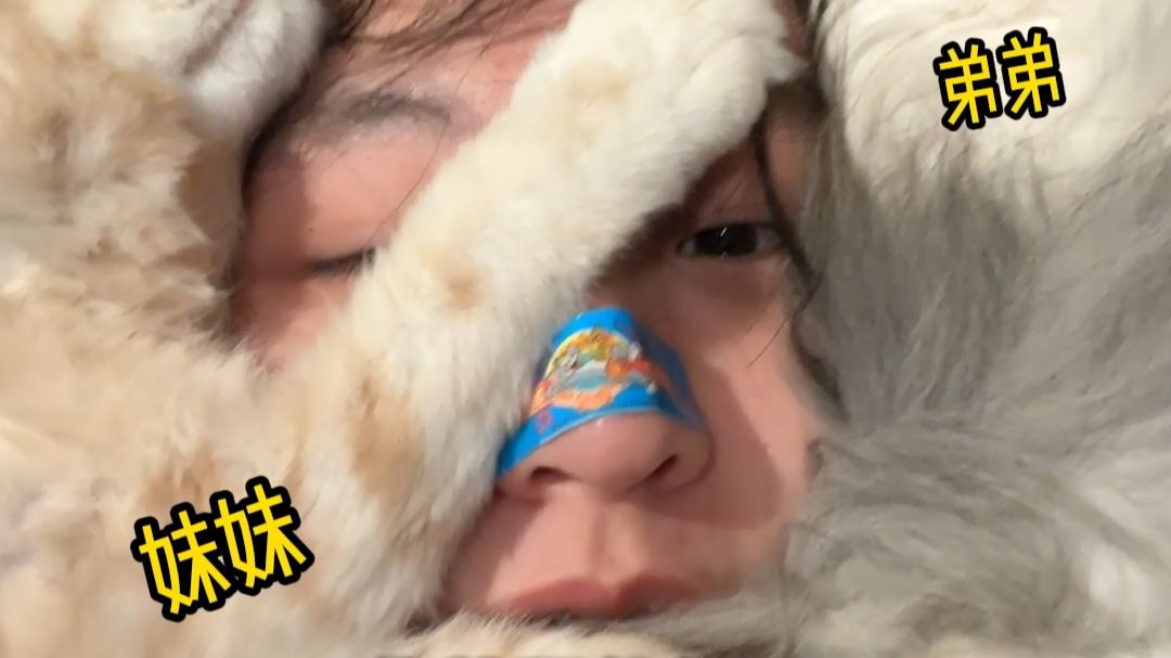 《养了猫才知道公猫和母猫有区别》