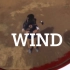 全新个创音乐 wind 海景MV