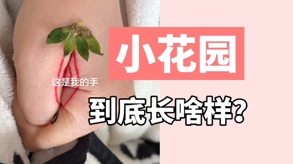 小花园到底长啥样？所有女生必看！了解自己的小花园！才能更好的爱护自己！