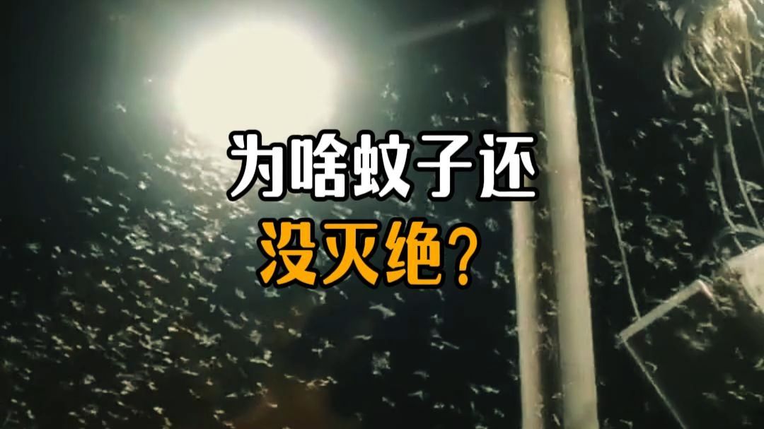 蚊子为啥还没灭绝？