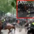 英国抗议现场暴冲突：骑警撞上红绿灯摔落在地，马自己跑了…