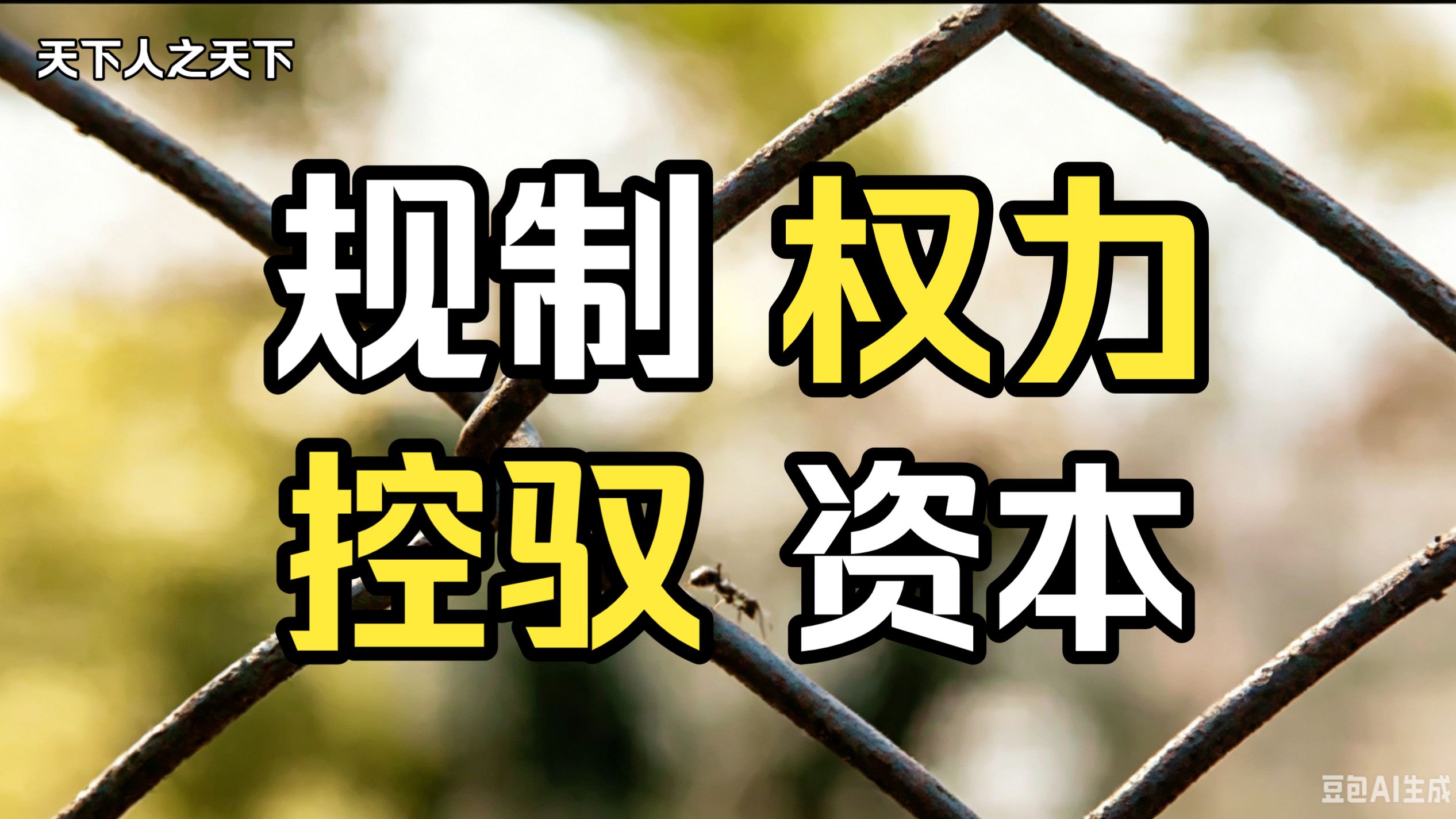 历史的下一步：规制权力，控驭资本