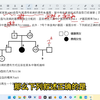 伴性遗传 详解析 高三好题