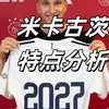 米卡古茨特点分析