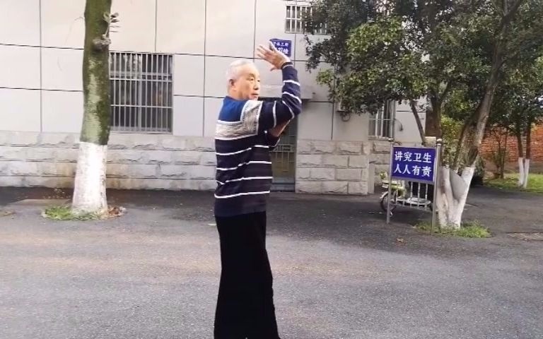 合肥心意六合拳名家张宁卫老师讲解心意拳恨劲之恨天无把