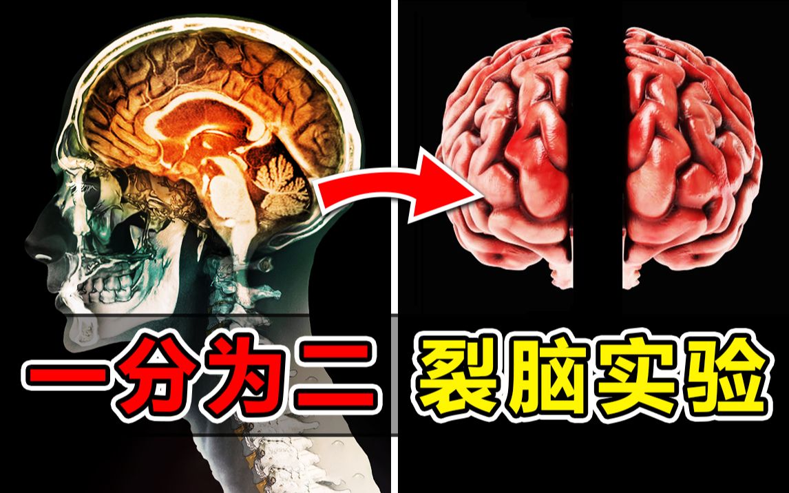 【裂脑人实验】把癫痫病人大脑切成两半，进行裂脑实验，大脑会有两个意识吗？