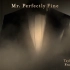 【Taylor Swift】Mr. Perfectly Fine (From The Vault) 歌词版MV！